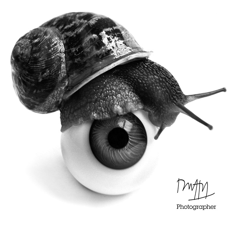 Duffy Snail & Eye T-Shirt