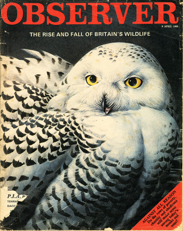 Observer - 6th April 1969