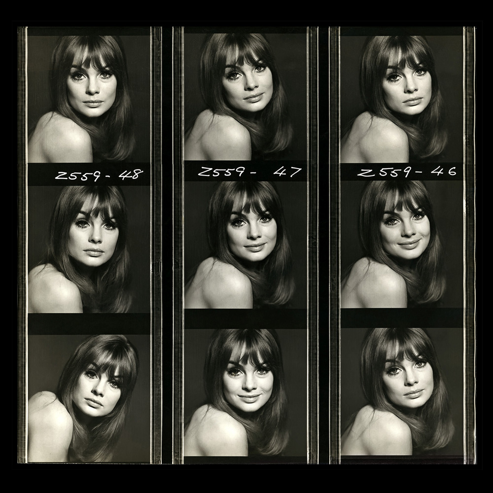 Shrimpton - Head Shot Contact
