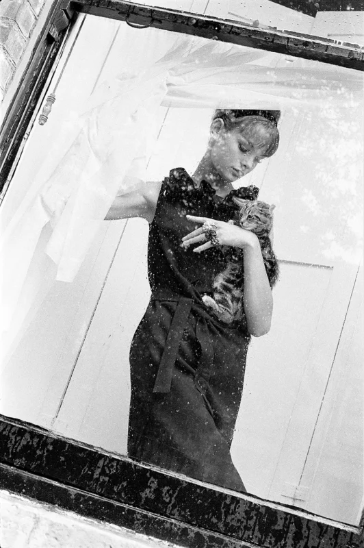 Vogue - Jean Shrimpton with Kitten - 1962