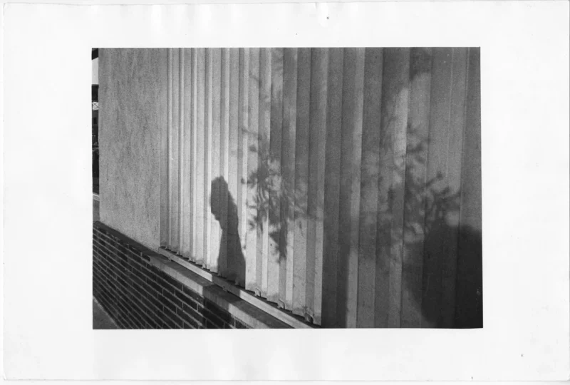 Silhouette