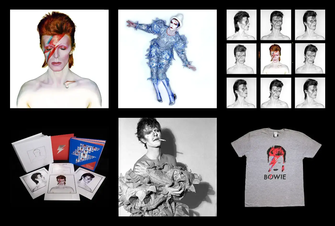 BowieWebStore card